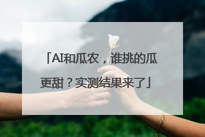 AI和瓜农，谁挑的瓜更甜？实测结果来了