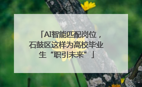 AI智能匹配岗位，石鼓区这样为高校毕业生“职引未来”