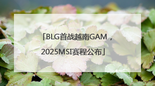 BLG首战越南GAM，2025MSI赛程公布